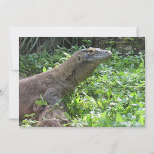 Komodo Dragon Flat Greeting Card
