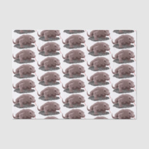 Komodo dragon illustration tissue paper