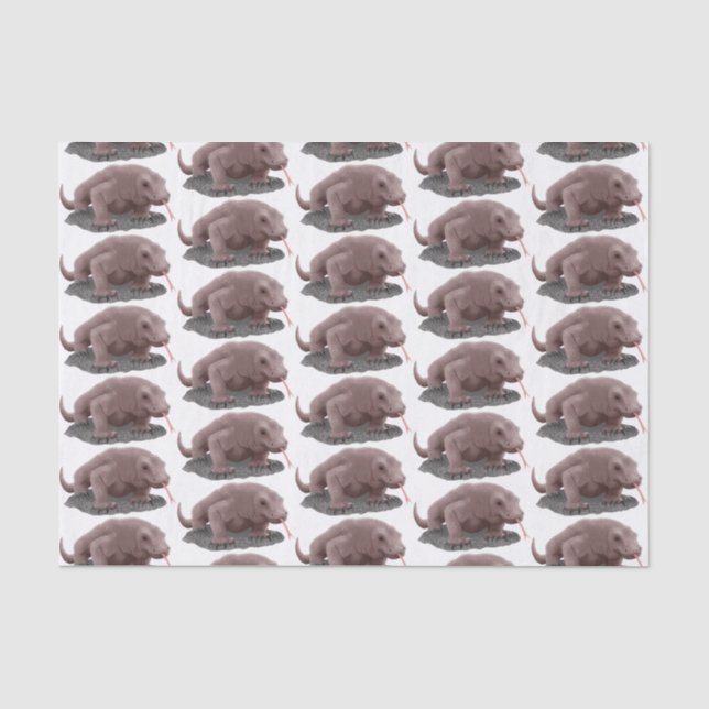 Komodo dragon illustration tissue paper (Front)