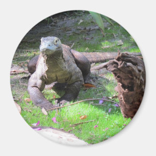 Komodo Dragon Magnet