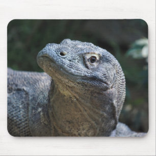 Komodo Dragon Mouse Pad