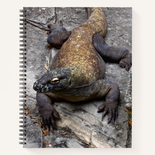 Komodo Dragon Nature Journal (Front)