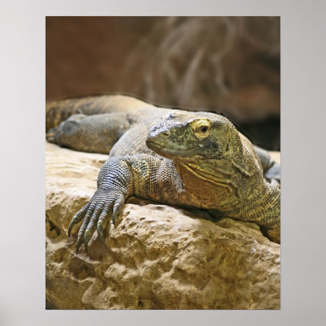 Komodo Dragon Poster (Front)