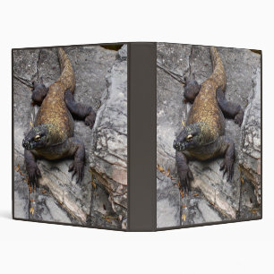Komodo Dragon Rocky Habitat Binder