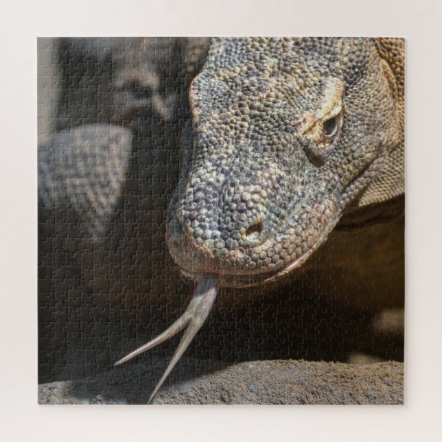 Komodo Dragon Sticking Out His Tongue Jigsaw Puzzle (Vertical)