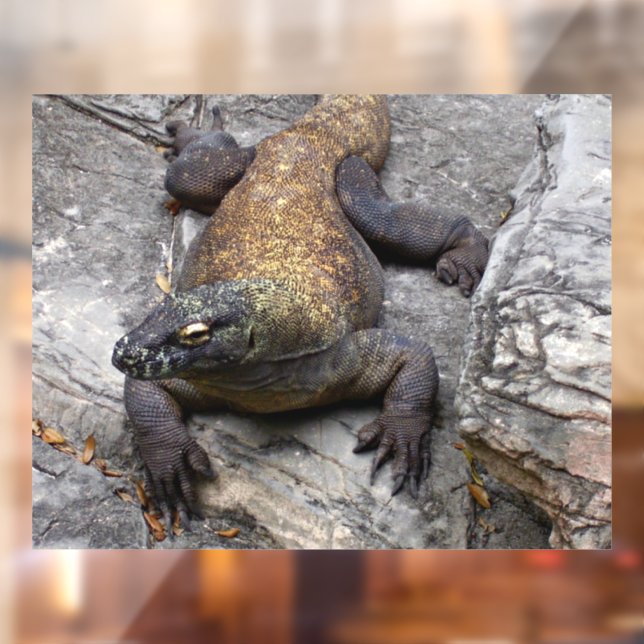 Komodo Dragon Sunlit Rock Scene Window Cling (Sheet 2)