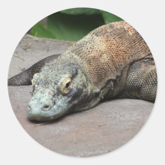 Komodo dragon (Varanus komodoensis), Classic Round Sticker