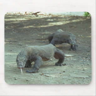 Komodo Dragons Mouse Pad