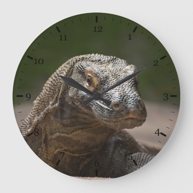 Komodo monitor dragon large clock (Front)