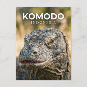 Komodo National Park Indonesia Postcard
