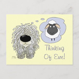 Komondor - Thinking of Ewe Postcard