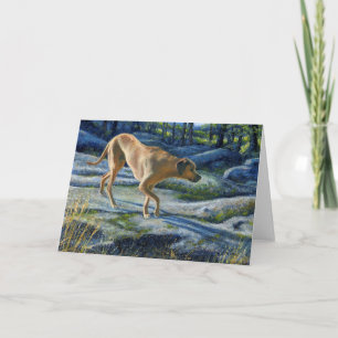 “Kona on the Granite Trail” Card