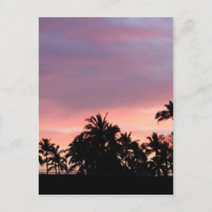 Kona Sunset Postcard