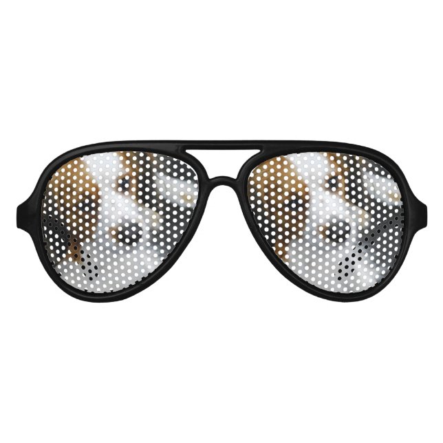 Kooikerhondje Dog Aviator Sunglasses (Front)