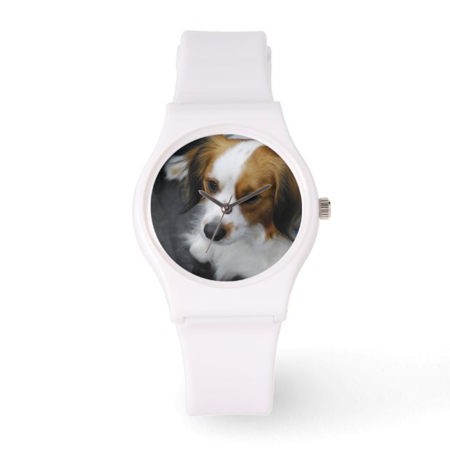 Kooikerhondje Dog Watch (Front)