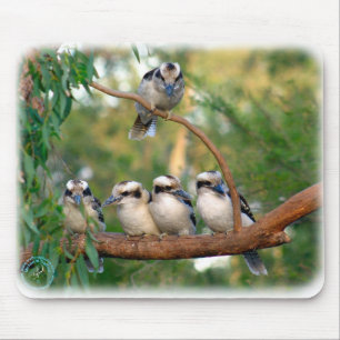 Kookaburra 9Y172D-004 Mouse Pad