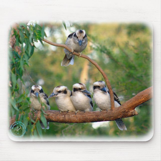 Kookaburra 9Y172D-004 Mouse Pad (Front)