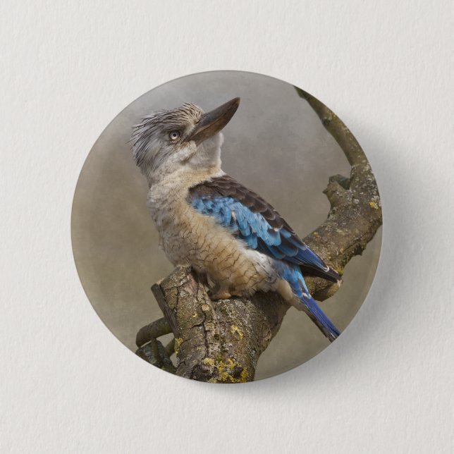 Kookaburra Badge 2 Inch Round Button (Front)