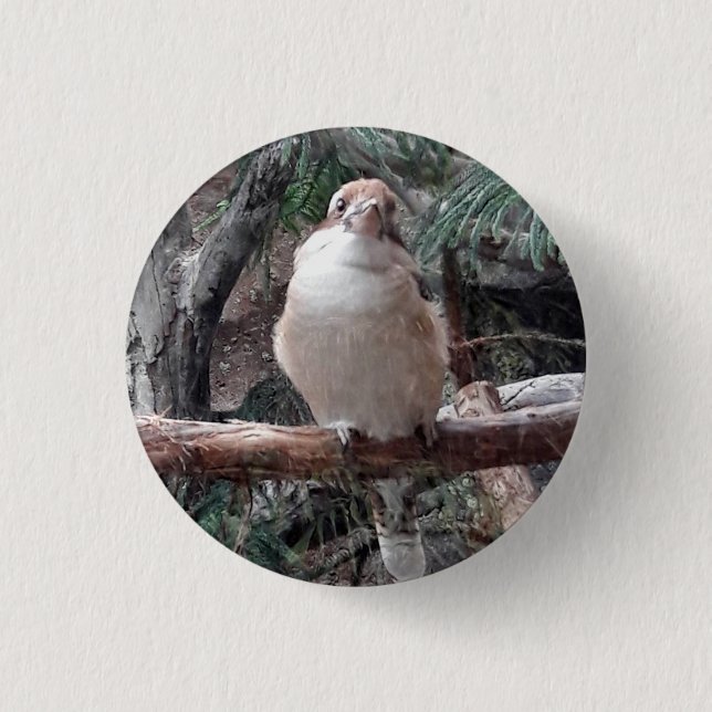 Kookaburra Button (Front)