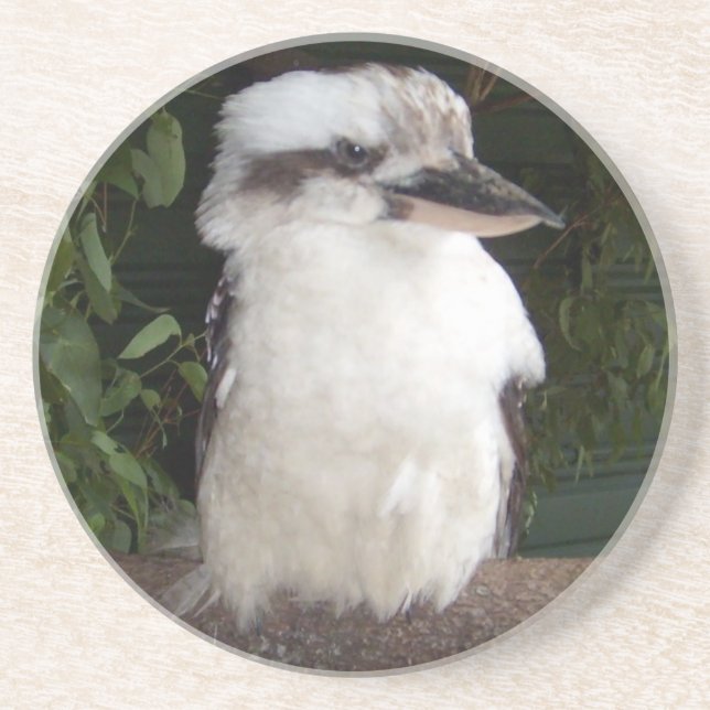 Kookaburra Coaster (Front)