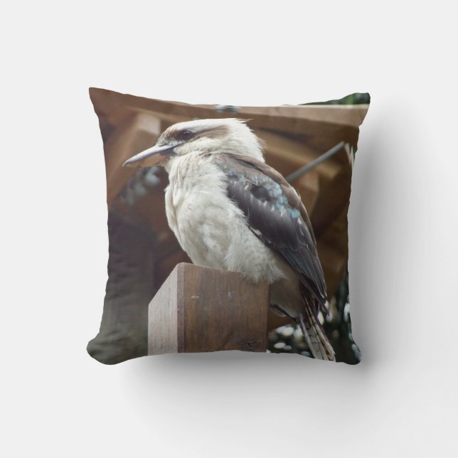 Kookaburra Cushion (Front)