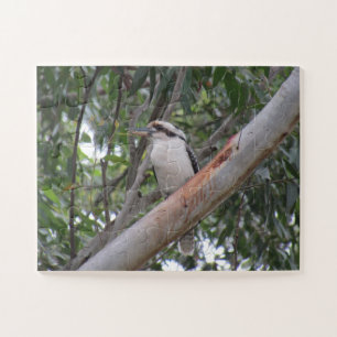 kookaburra jigsaw puzzle