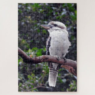 Kookaburra Jigsaw Puzzle
