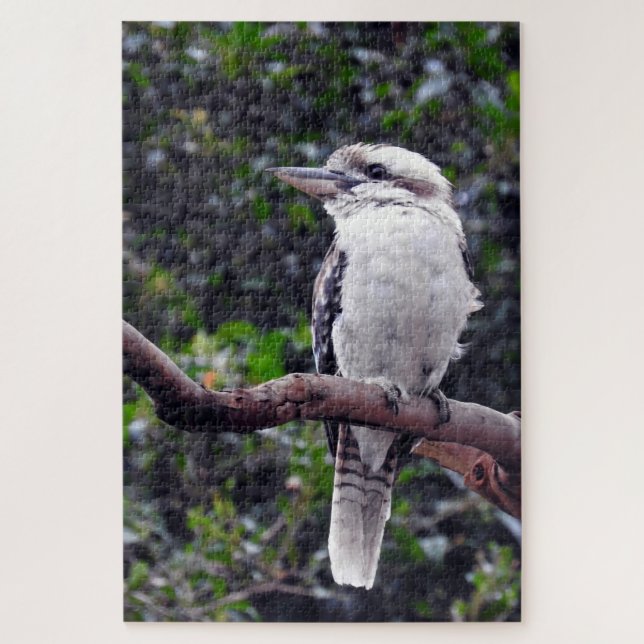 Kookaburra Jigsaw Puzzle (Vertical)