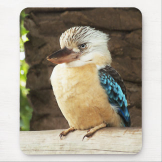 Kookaburra Mouse Pad