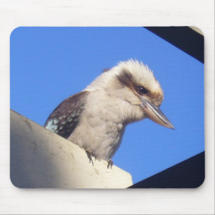 kookaburra mousepad