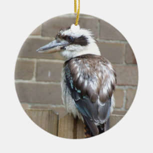 Kookaburra Ornament