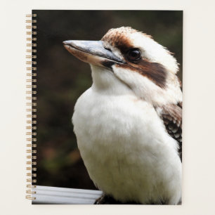 Kookaburra Planner
