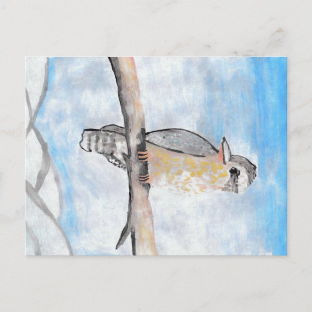 Kookaburra Postcard (Front)