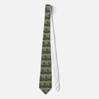 Kookaburra Tie