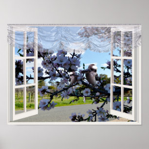 Kookaburras In My Window,   Poster