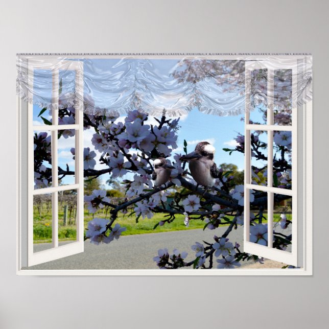 Kookaburras In My Window,   Poster (Front)