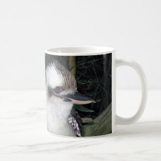 Kookaburras mug