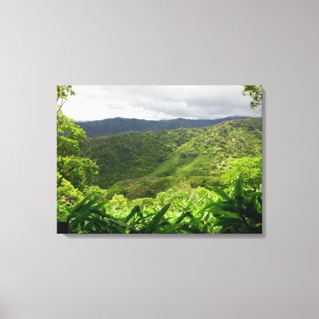 Koolau Mountains Canvas Print (Front)
