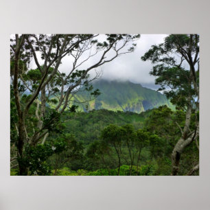 Koolau Mountains Poster