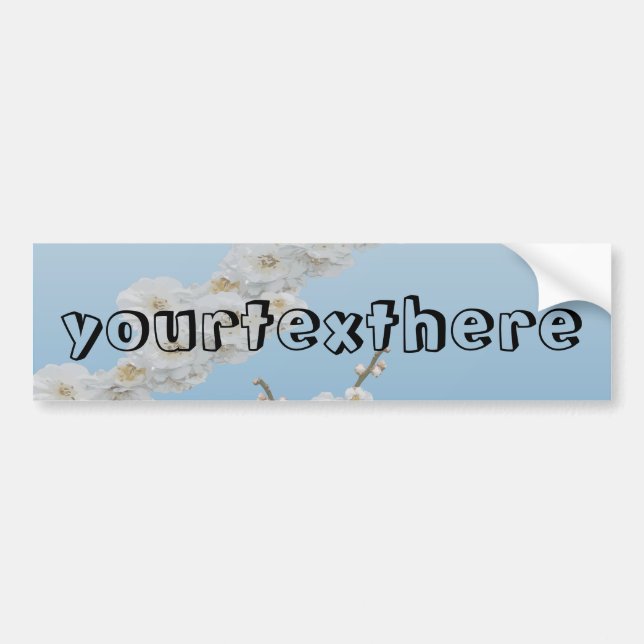 Korea Cherry Blossoms White Bumper Sticker (Front)