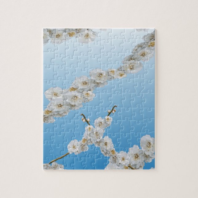 Korea Cherry Blossoms White Jigsaw Puzzle (Vertical)