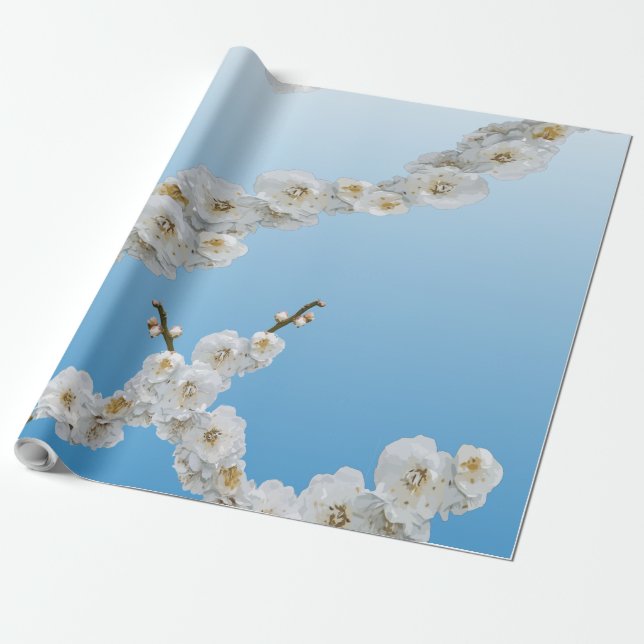 Korea Cherry Blossoms White Wrapping Paper (Unrolled)
