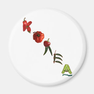 Korea Chili Peppers Magnet