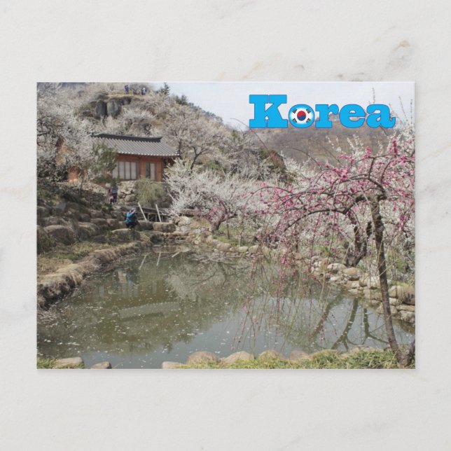 Korea Spring Landscape Postcard (Front)