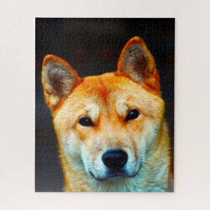 korean Jindo Dog. Jigsaw Puzzle