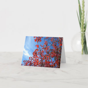 Korean Pear Card
