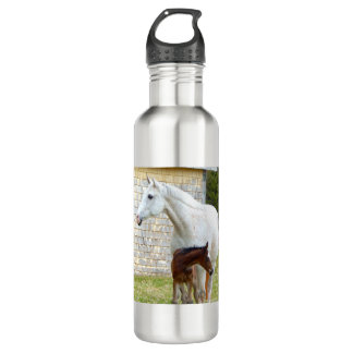Korra_May7_2016_i11 710 Ml Water Bottle
