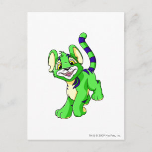 Kougra Green Postcard