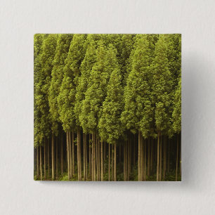 Koya Sugi Cedar Trees 2 Inch Square Button