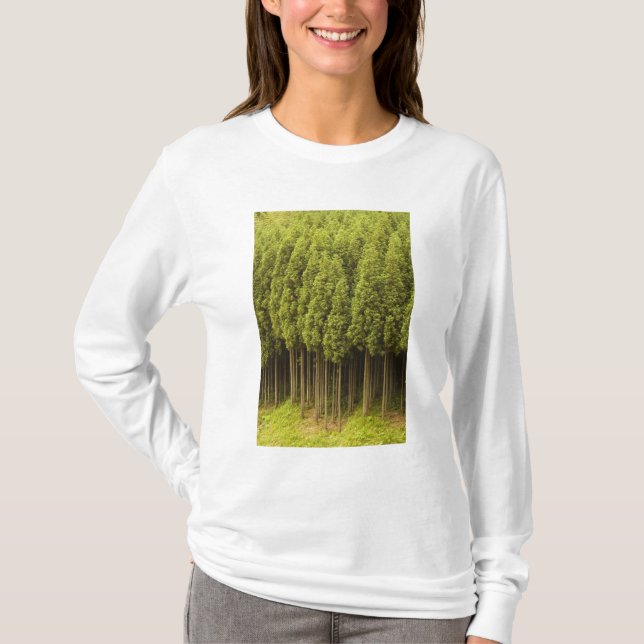 Koya Sugi Cedar Trees T-Shirt (Front)